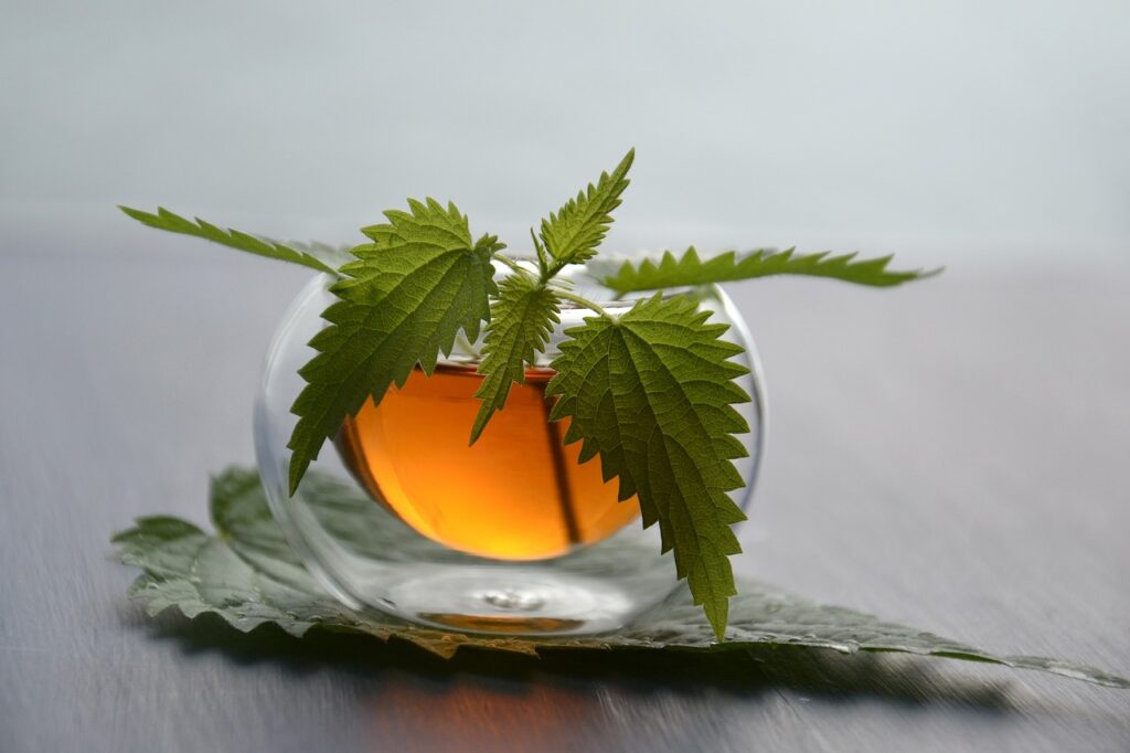 Tisane au CBD dans une tasse en verre, idéale pour apaiser les maux de tête et favoriser la relaxation.
